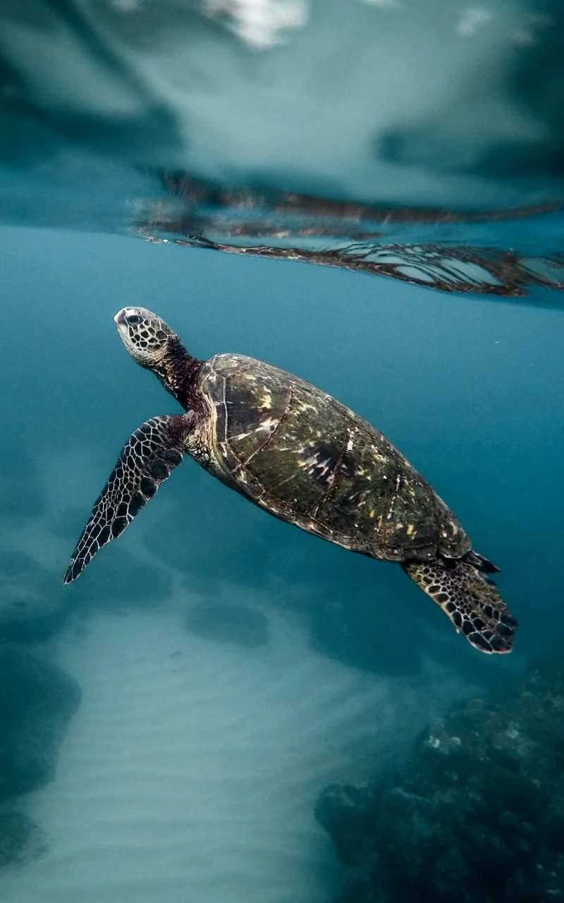 Le marketing B2B en 2026: ce qui change réellement et ce qui ne change pas